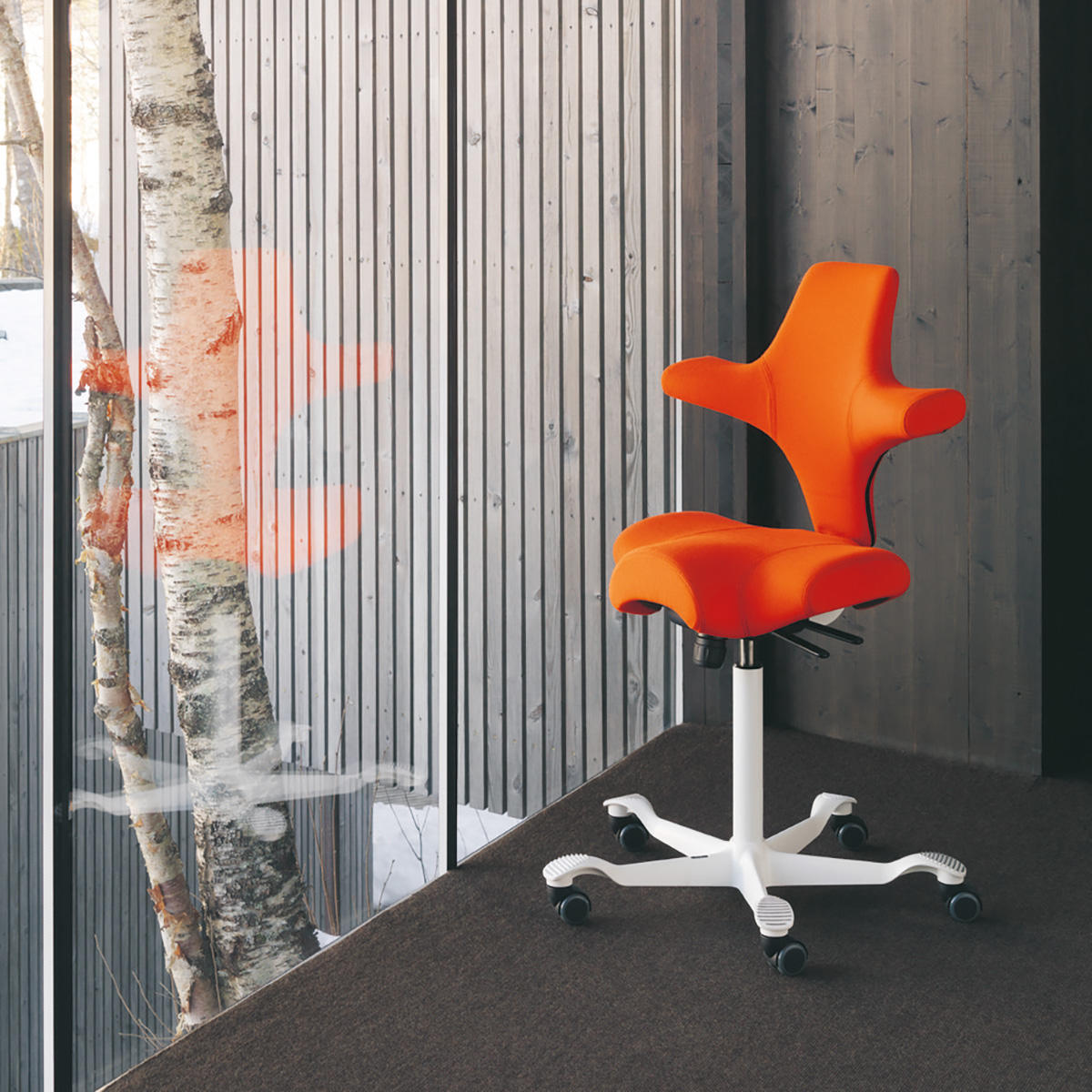 HAG Capisco 8106 SELECT Arbeitsstuhl Black Edition mit Rückenlehne
