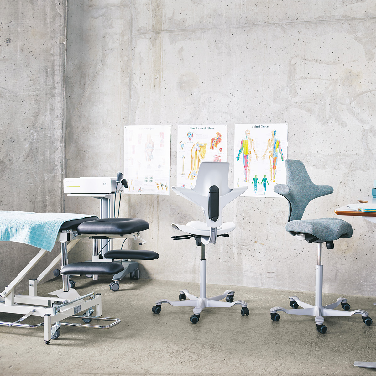 HAG Capisco Puls 8001 drehbarer Sitzhocker mit Sattelsitz und Kisseneinsatz